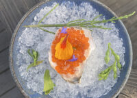 Talise - The Rockport House